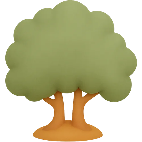 Livre enfant personnalisé : Dans la forêt